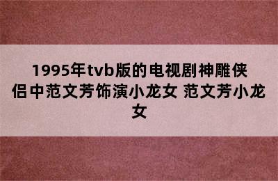 1995年tvb版的电视剧神雕侠侣中范文芳饰演小龙女 范文芳小龙女